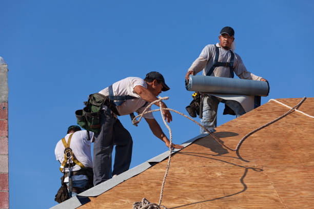 Best New Roof Installation  in Muscoda, WI