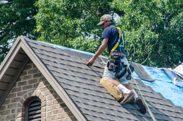 Best Roof Leak Repair  in Muscoda, WI